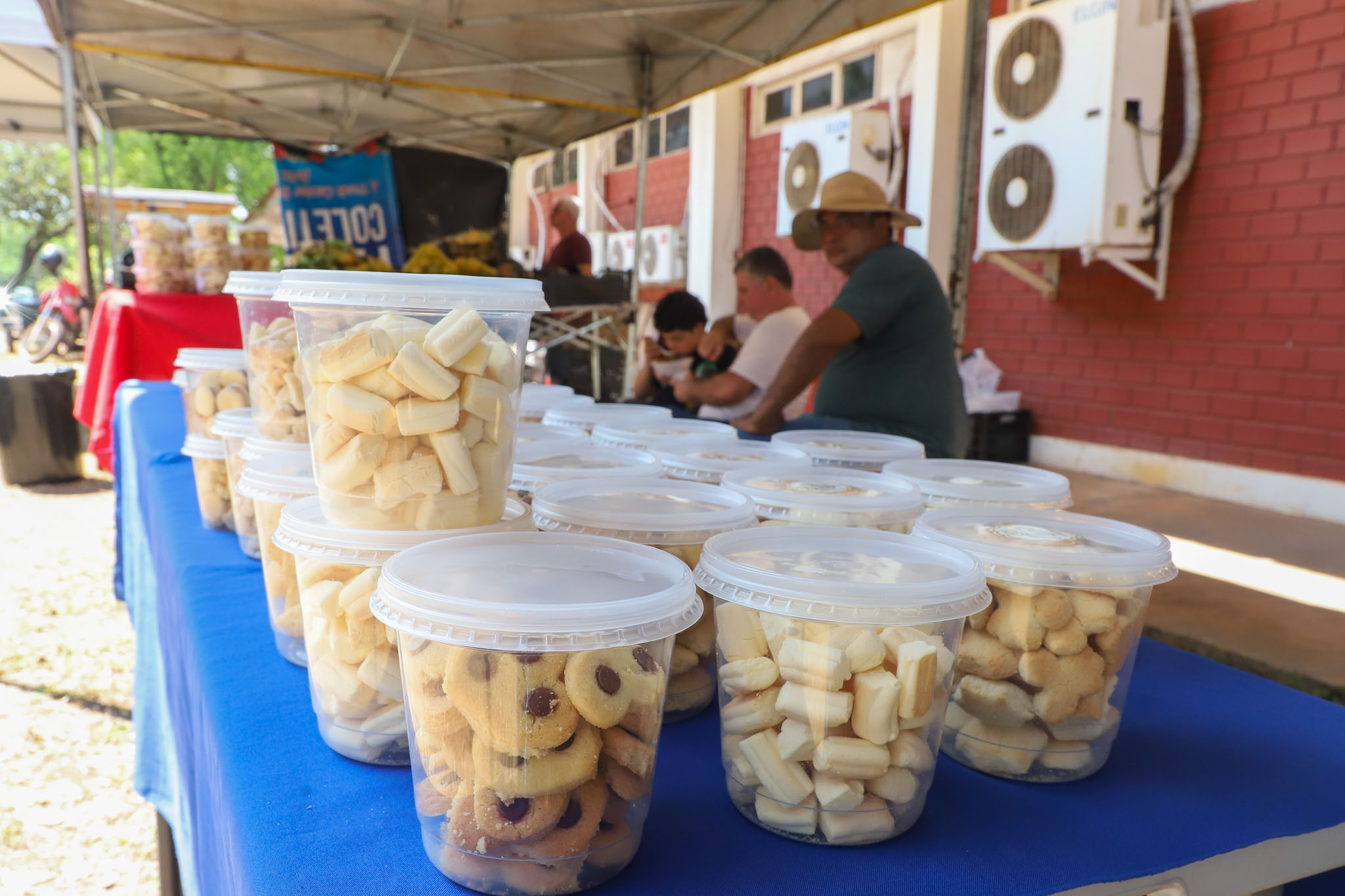 Foto 4 da galeria