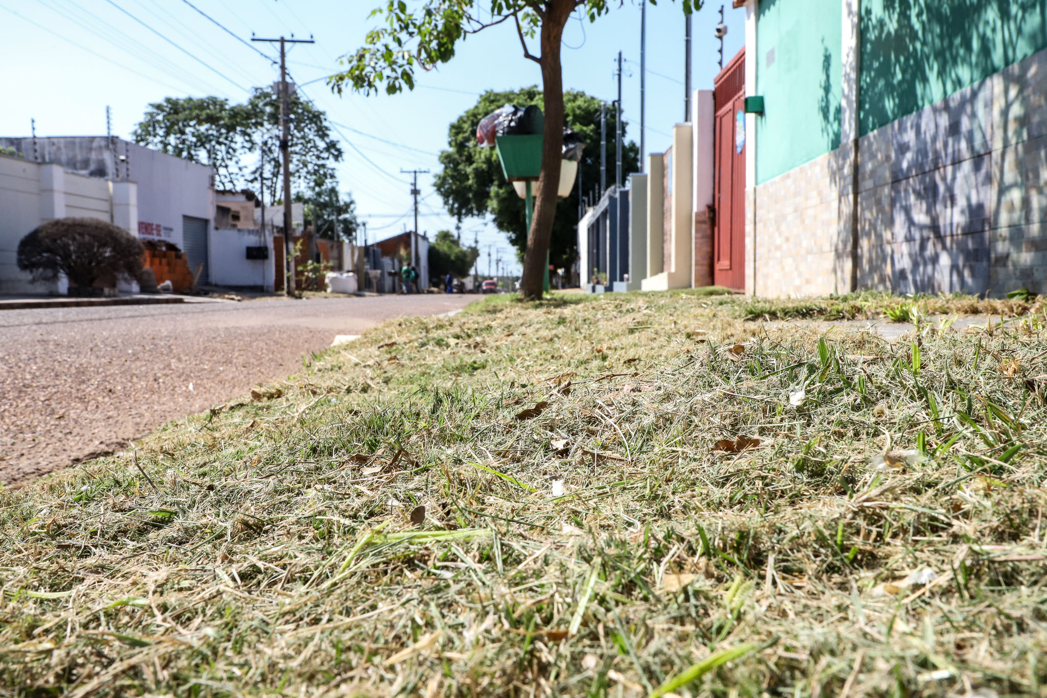 Andre Luis / SECOM-VG