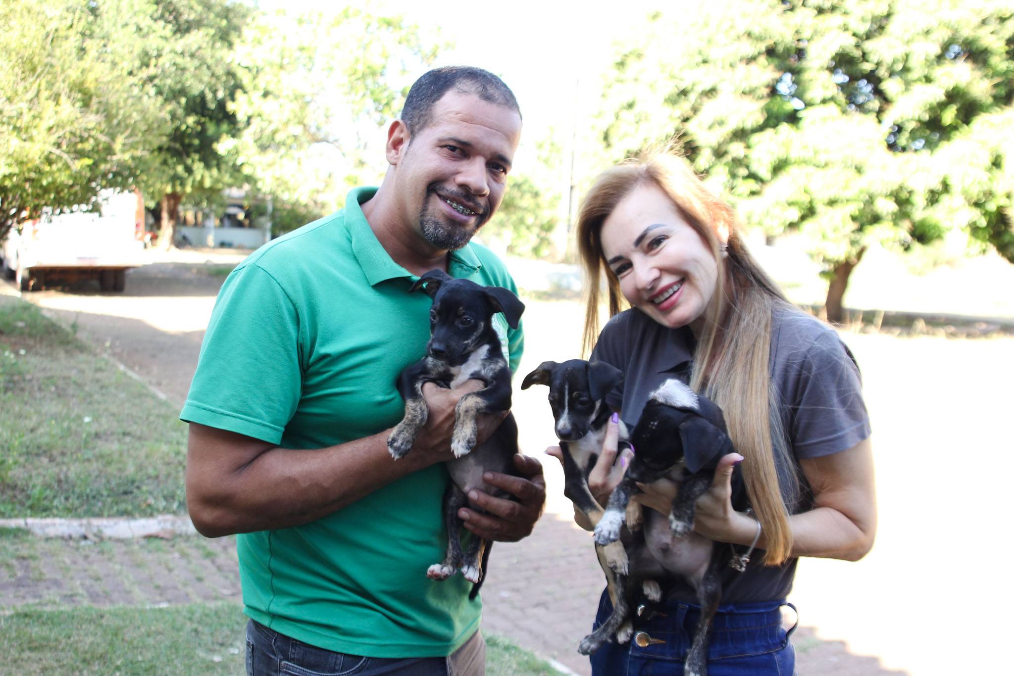 CCZ VG está com filhotes de cães, gatas e cães adultos para doação