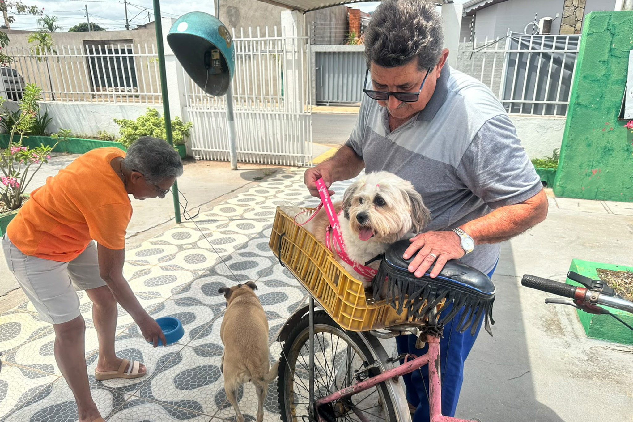 Andre Luis / SECOM-VG