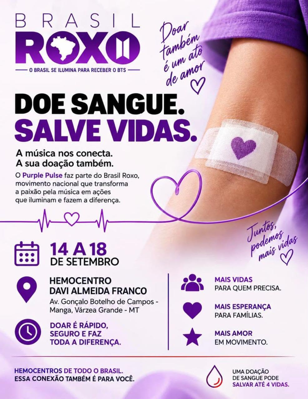 Foto 2 da galeria